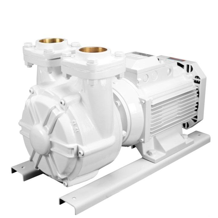 GIANNESCHI ACB 451 SELF-PRIMING ELECTRIC PUMP  230/400V 3PH 50HZ