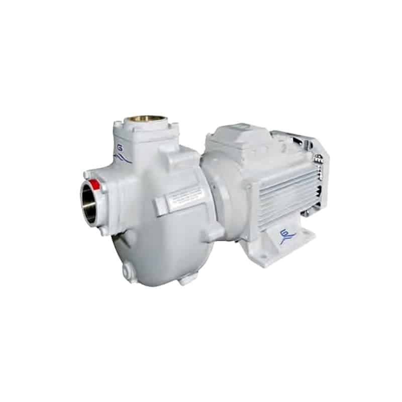 GIANNESCHI BMA-S 50/160B1 ELECTRIC PUMP V230/400 3PH 50HZ 3KW 2900RPM IP55 300LPM (AT 19M)