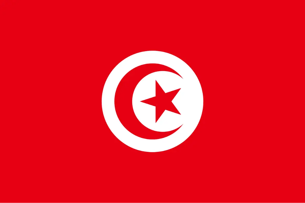 FLAG TUNISIA 20CM X 30CM