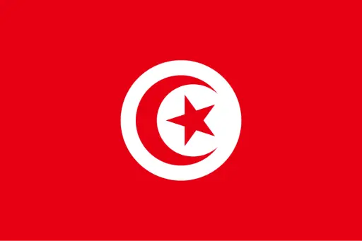 [CAM-TUNFLA2030] FLAG TUNISIA 20CM X 30CM